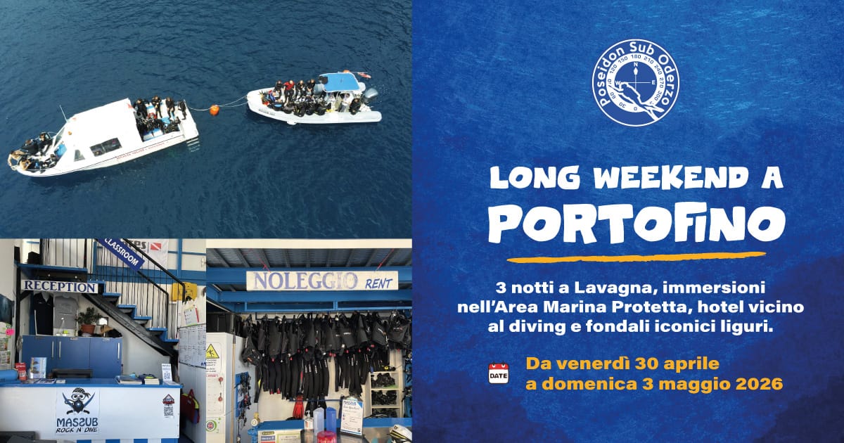 Partecipa al weekend diving a Portofino con Poseidon Sub: 3 notti a Lavagna, immersioni nell’Area Marina Protetta e fondali iconici liguri.